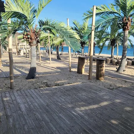 Ivaia 2